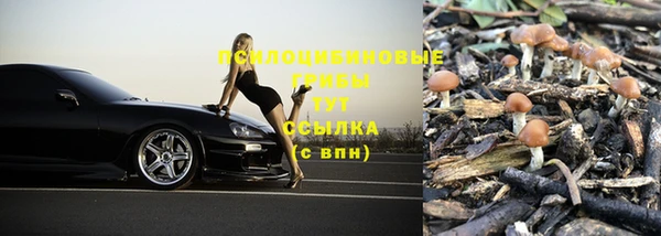 молекула духа Зерноград