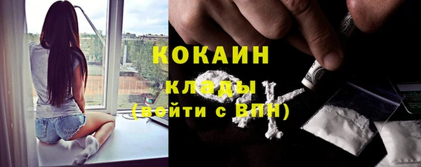 соль курить ск Заводоуковск