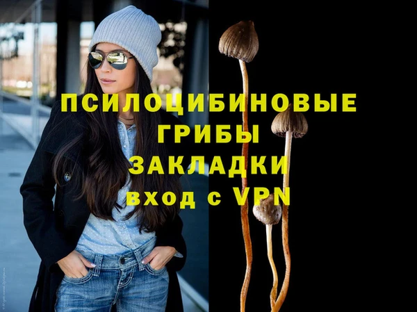 соль курить ск Заводоуковск