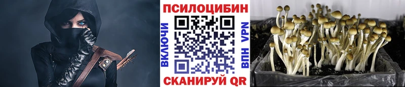 Купить закладки  Усинск  Галлюциногенные грибы прущие грибы 